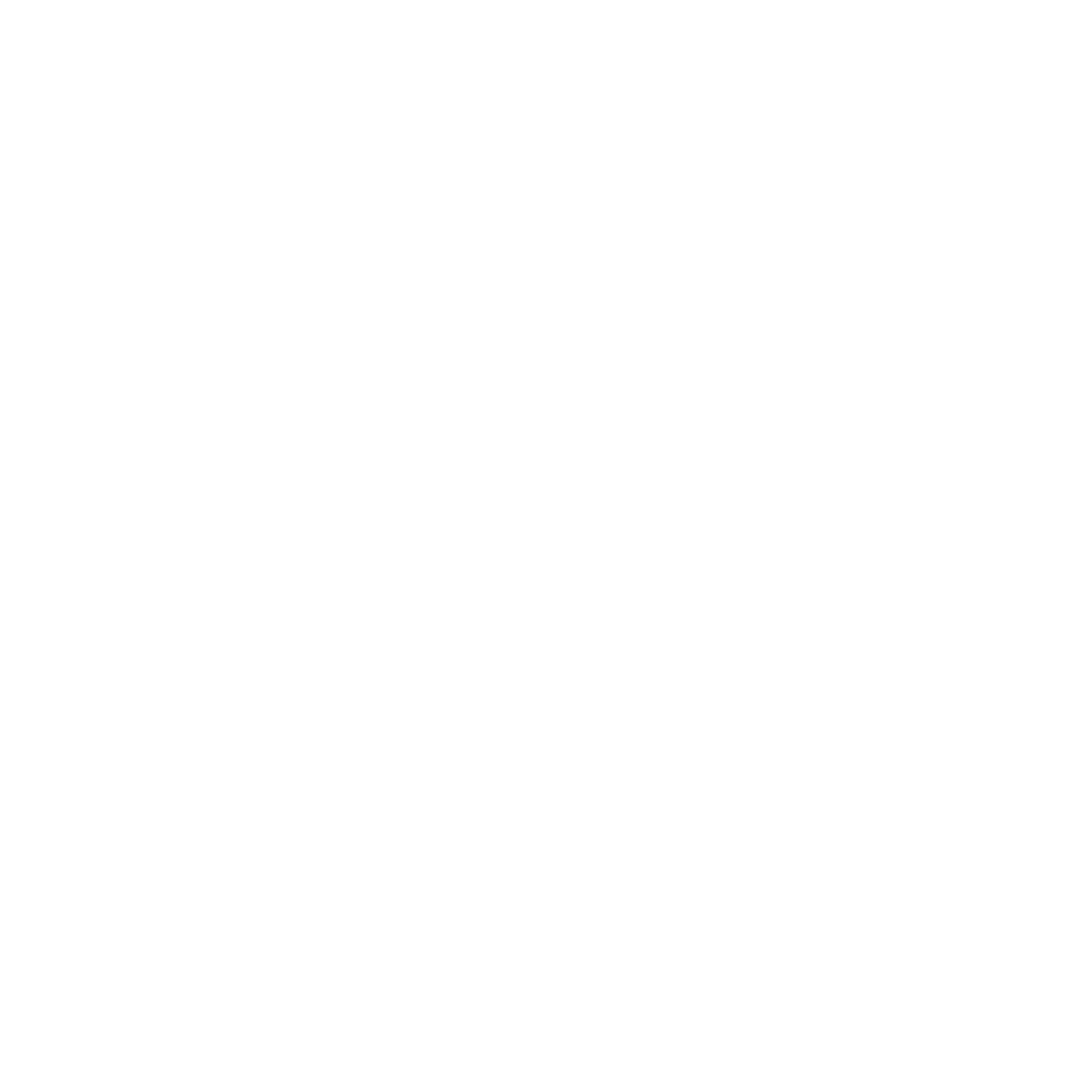 VRSE Logo, red